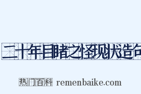 二十年目睹之怪现状造句是什么意思的图片